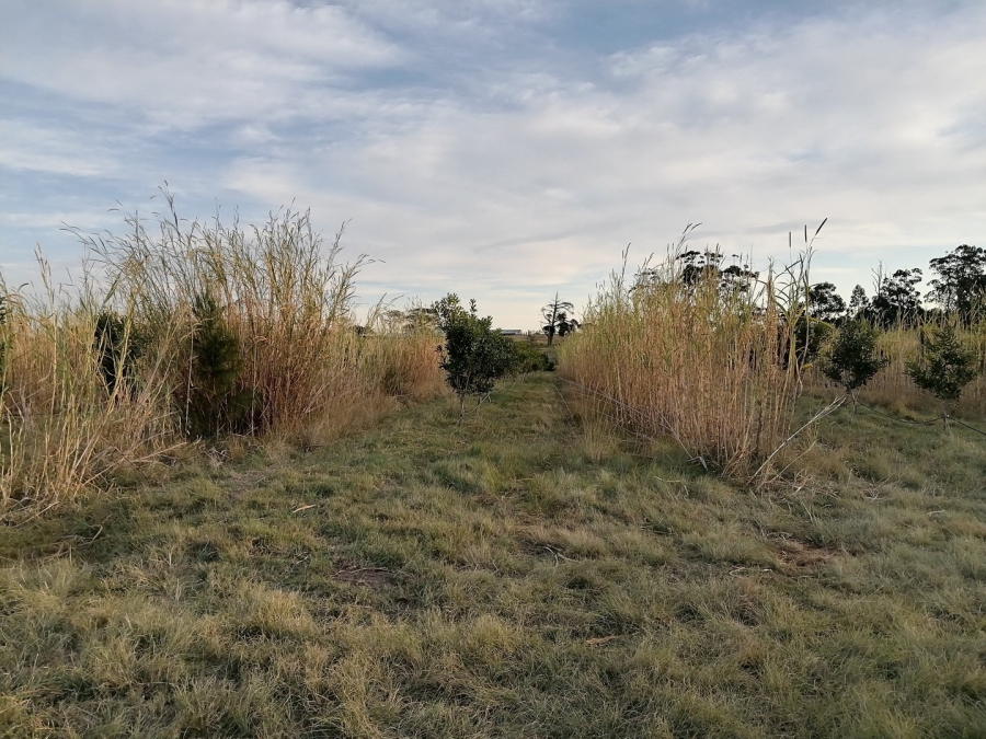 2 Bedroom Property for Sale in Kidds Beach Eastern Cape